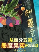 小说《/data/image/10681.jpg》封面