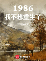 小说《/data/image/10904.jpg》封面