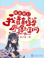 小说《/data/image/11215.jpg》封面