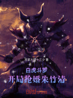 小说《/data/image/11229.jpg》封面