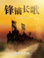 小说《/data/image/11355.jpg》封面