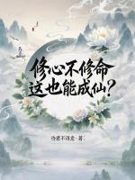 小说《/data/image/11420.jpg》封面