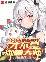 小说《/data/image/11463.jpg》封面