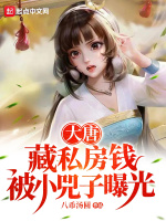小说《/data/image/11487.jpg》封面