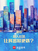 小说《/data/image/11545.jpg》封面