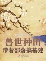 小说《/data/image/11681.jpg》封面