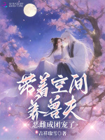 小说《/data/image/11694.jpg》封面
