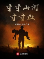 小说《/data/image/11728.jpg》封面