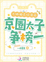 小说《/data/image/11875.jpg》封面