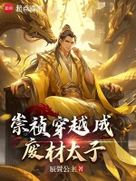 小说《/data/image/11911.jpg》封面