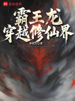 小说《/data/image/12119.jpg》封面
