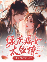 小说《/data/image/12272.jpg》封面