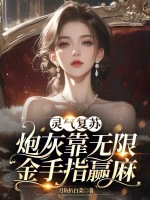 小说《/data/image/12643.jpg》封面
