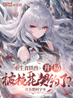 小说《/data/image/12943.jpg》封面