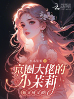 小说《/data/image/13106.jpg》封面