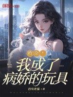 小说《/data/image/13235.jpg》封面
