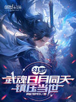 小说《/data/image/13238.jpg》封面