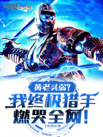 小说《/data/image/13244.jpg》封面