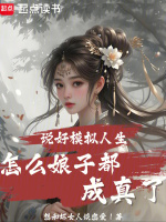 小说《/data/image/13263.jpg》封面