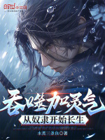 小说《/data/image/13293.jpg》封面