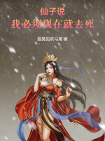 小说《/data/image/13324.jpg》封面