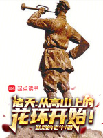 小说《/data/image/13347.jpg》封面