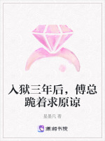 小说《/data/image/13362.jpg》封面