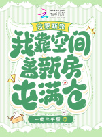 小说《/data/image/13384.jpg》封面