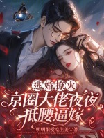小说《/data/image/13393.jpg》封面