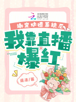 小说《/data/image/13425.jpg》封面