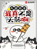 小说《/data/image/13434.jpg》封面