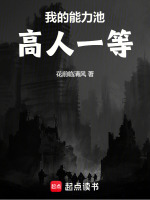 小说《/data/image/13463.jpg》封面