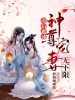 小说《/data/image/13477.jpg》封面