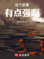 小说《/data/image/13503.jpg》封面