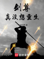 小说《/data/image/13517.jpg》封面