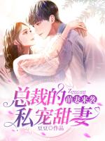 小说《/data/image/13533.jpg》封面