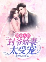 小说《/data/image/13556.jpg》封面