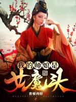 小说《/data/image/13562.jpg》封面