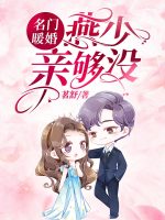 小说《/data/image/13586.jpg》封面