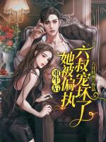 小说《/data/image/13608.jpg》封面