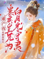 小说《/data/image/13817.jpg》封面