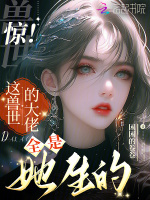 小说《/data/image/13830.jpg》封面