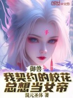 小说《/data/image/13845.jpg》封面