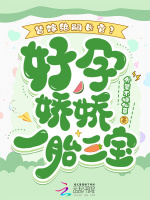 小说《/data/image/13917.jpg》封面