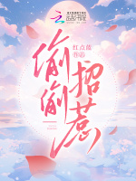 小说《/data/image/14667.jpg》封面