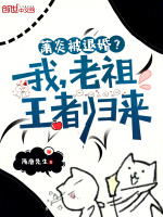 小说《/data/image/16953.jpg》封面