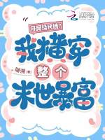 小说《/data/image/17321.jpg》封面