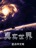 小说《/data/image/20981.jpg》封面