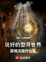小说《/data/image/23213.jpg》封面