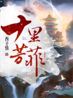 小说《/data/image/2419.jpg》封面